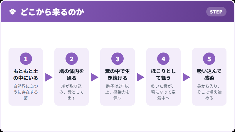 感染源