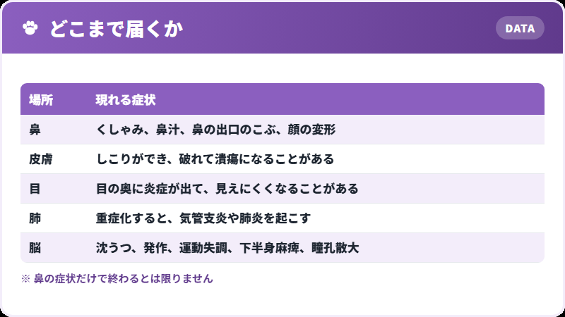 広がる先