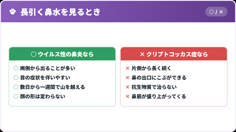 ふつうの鼻炎との違い