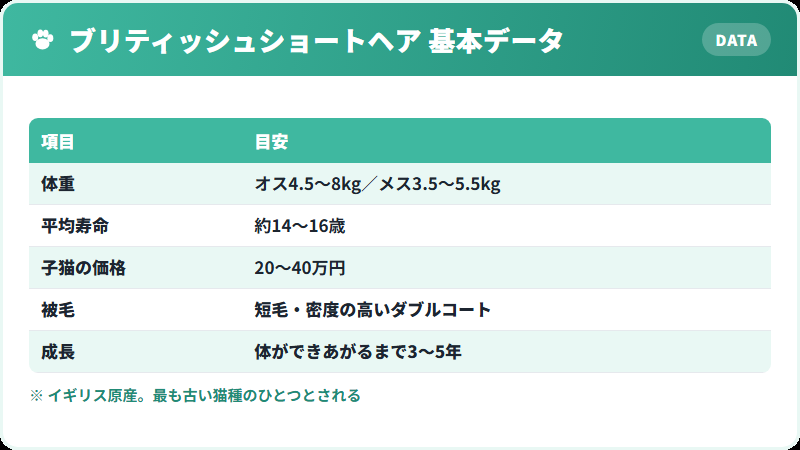 ブリティッシュショートヘアの基本データ 体重・寿命・価格の一覧