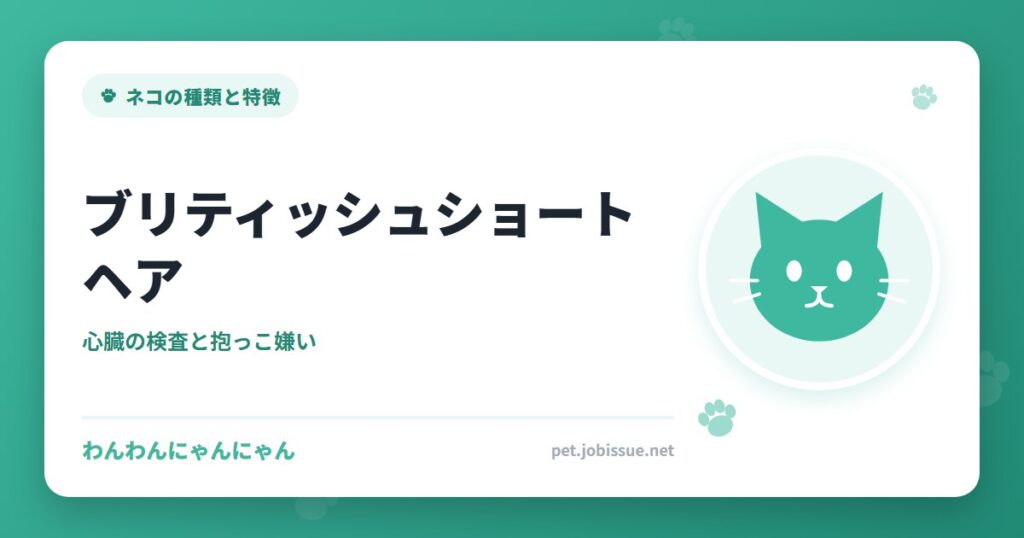ブリティッシュショートヘア
