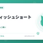 ブリティッシュショートヘア