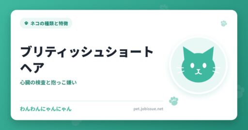 ブリティッシュショートヘア