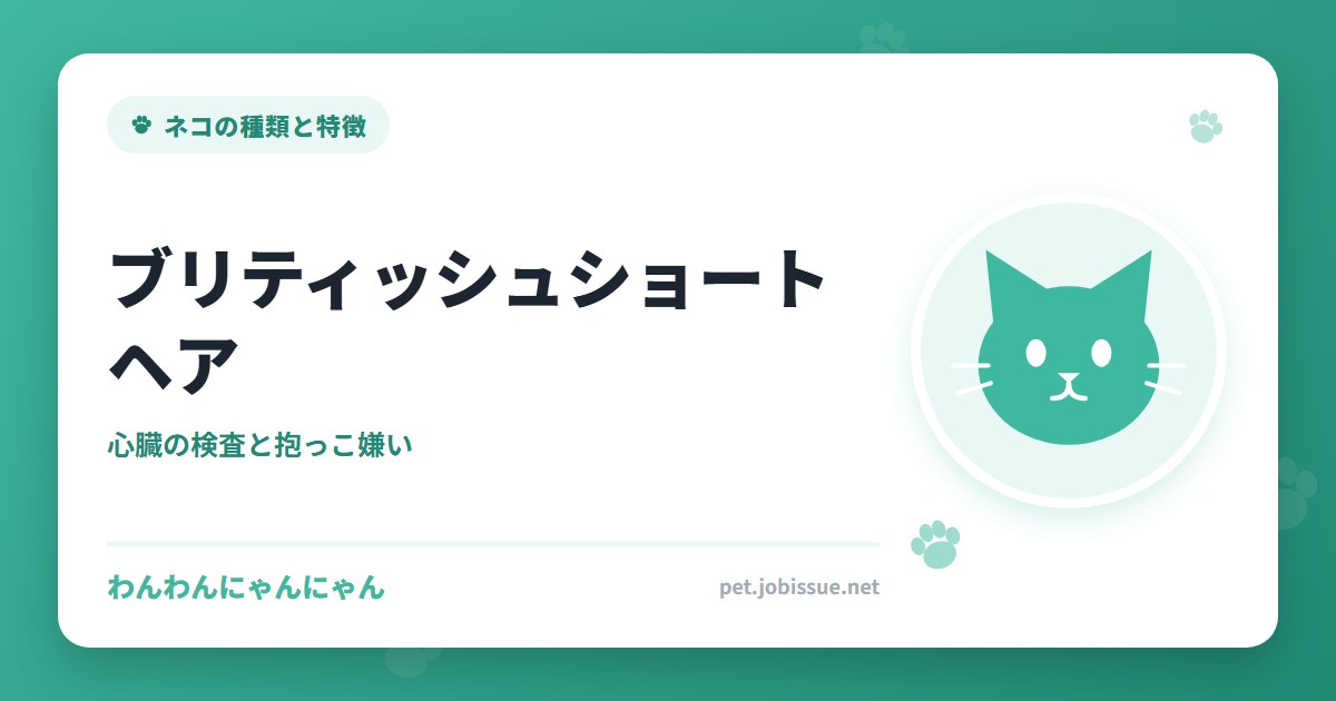 ブリティッシュショートヘア