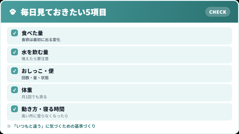 毎日確認したい5項目