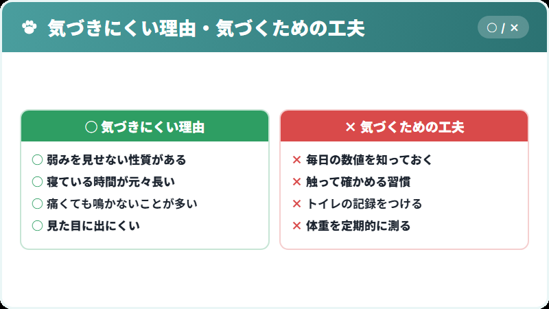 猫が不調を隠す理由