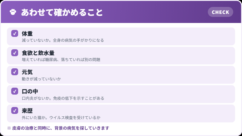 家で見ておきたいこと