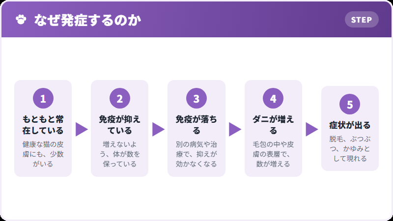 常在するということ