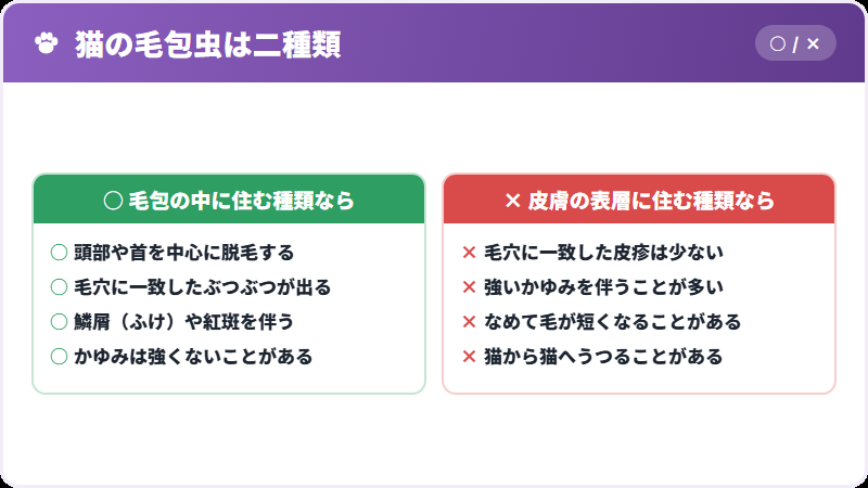 二種類の毛包虫