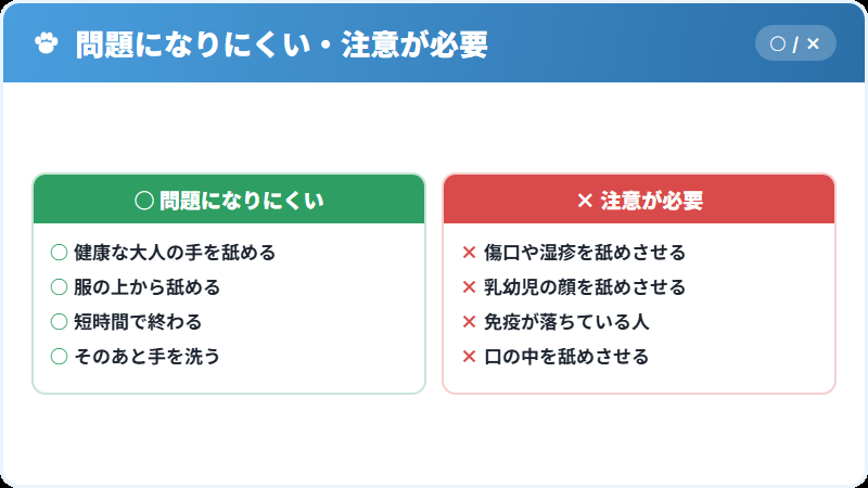 犬に舐められることの衛生上の注意点