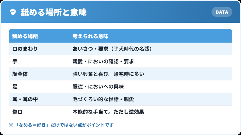 犬が舐める場所ごとの意味の一覧