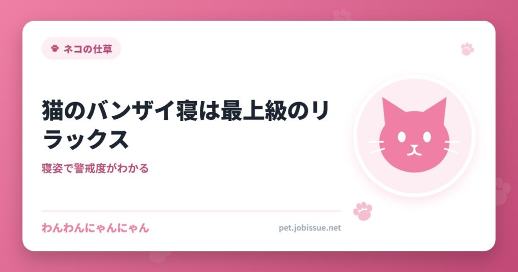 猫のバンザイ寝は最上級のリラックス