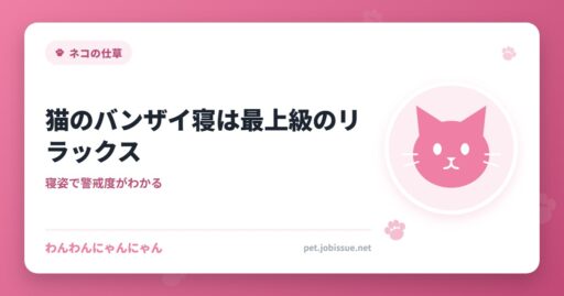 猫のバンザイ寝は最上級のリラックス