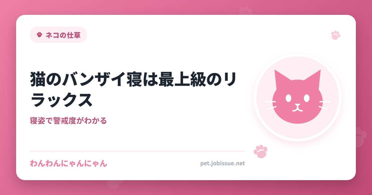 猫のバンザイ寝は最上級のリラックス