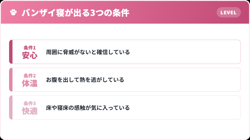猫がバンザイ寝をする3つの理由