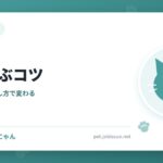 猫と遊ぶコツ
