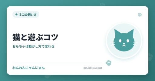 猫と遊ぶコツ