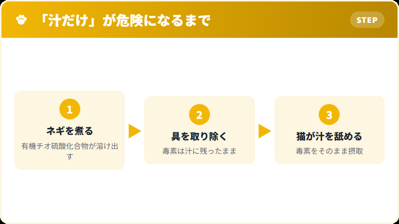 ネギの毒素が汁に溶け出す仕組みの図解