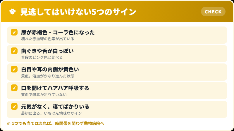猫のネギ中毒 見逃してはいけない5つのサイン