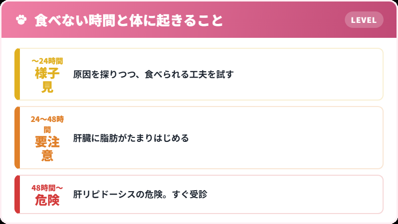 猫が食べない時間と体に起きることの経過