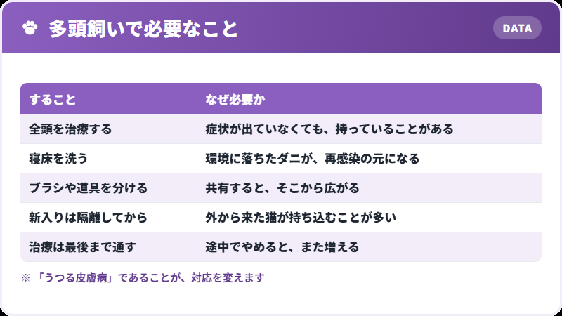 同居猫への対応