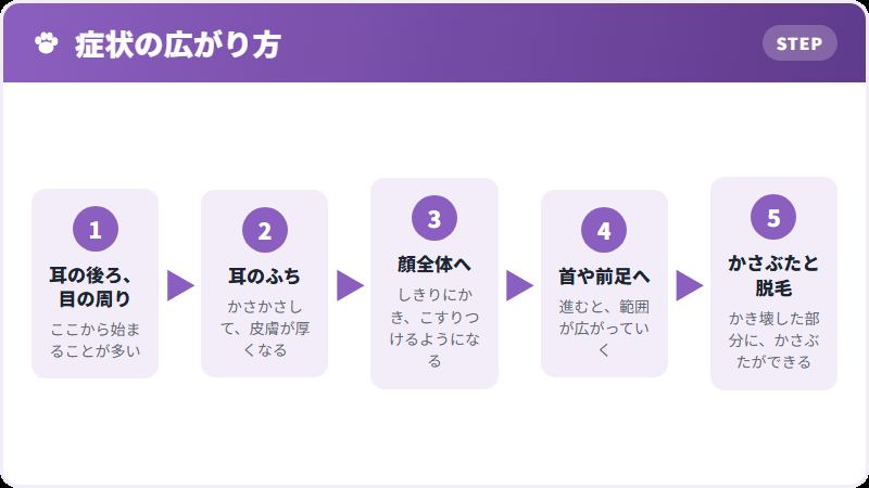 出る場所の順番