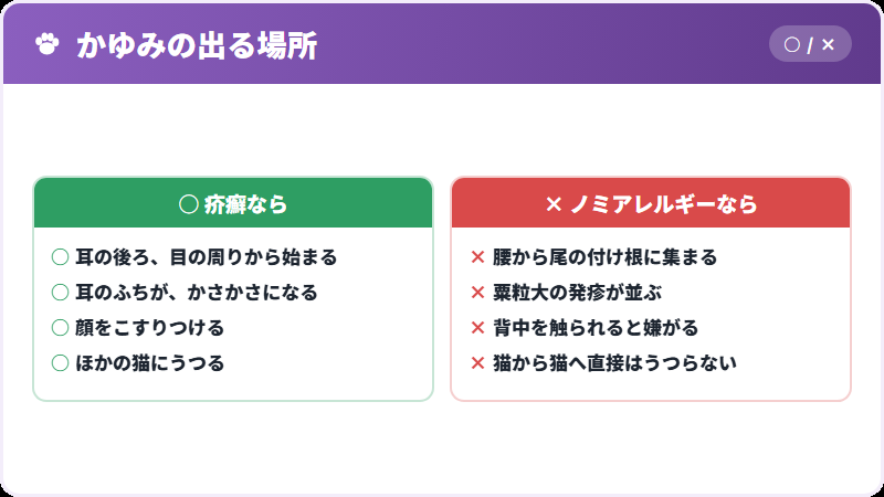 ノミアレルギーとの違い
