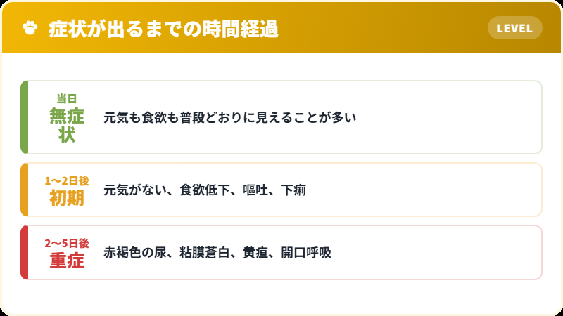 猫の玉ねぎ中毒 症状が現れるまでの時間経過