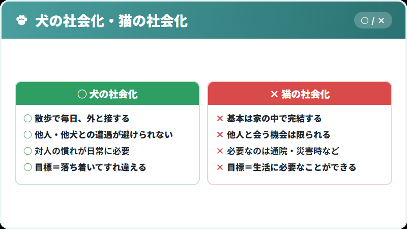 犬と猫で社会化の考え方が違う