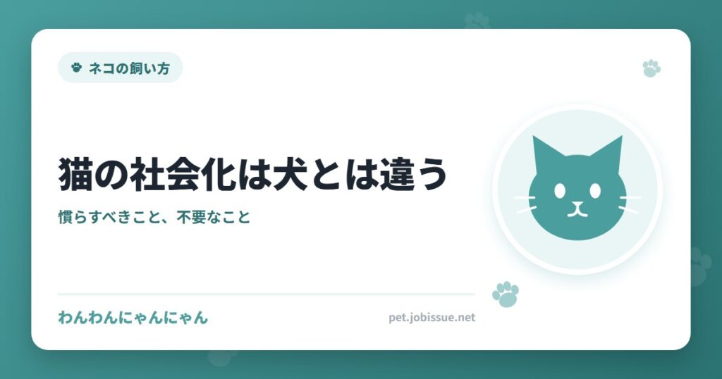 猫の社会化は犬とは違う