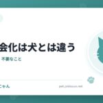 猫の社会化は犬とは違う