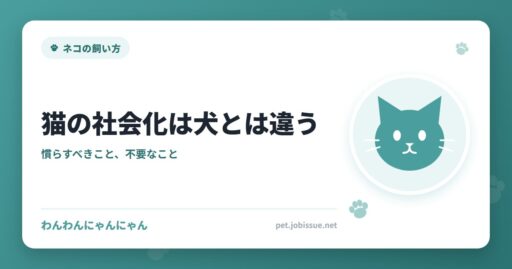 猫の社会化は犬とは違う