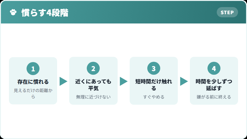 慣らし方の基本