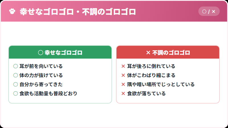 幸せなゴロゴロと不調のゴロゴロを見分けるポイント