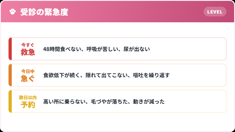 猫の不調の緊急度を判断する3段階