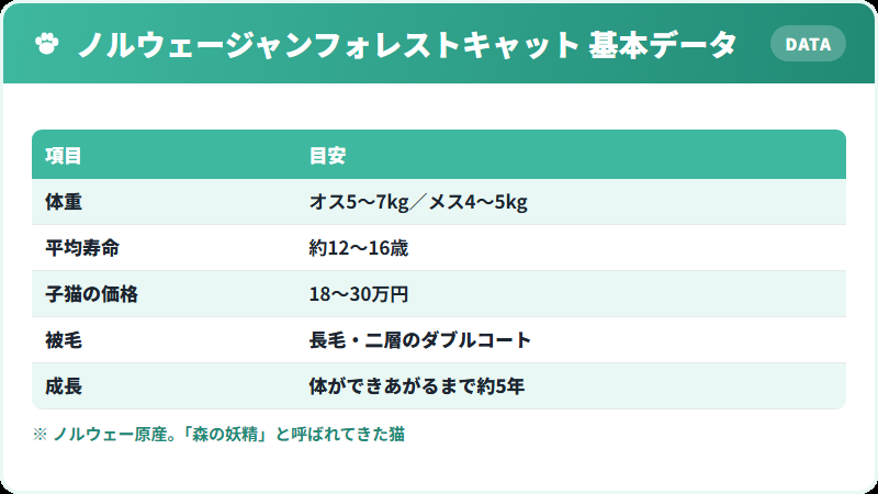 ノルウェージャンフォレストキャットの基本データ 体重・寿命・価格の一覧