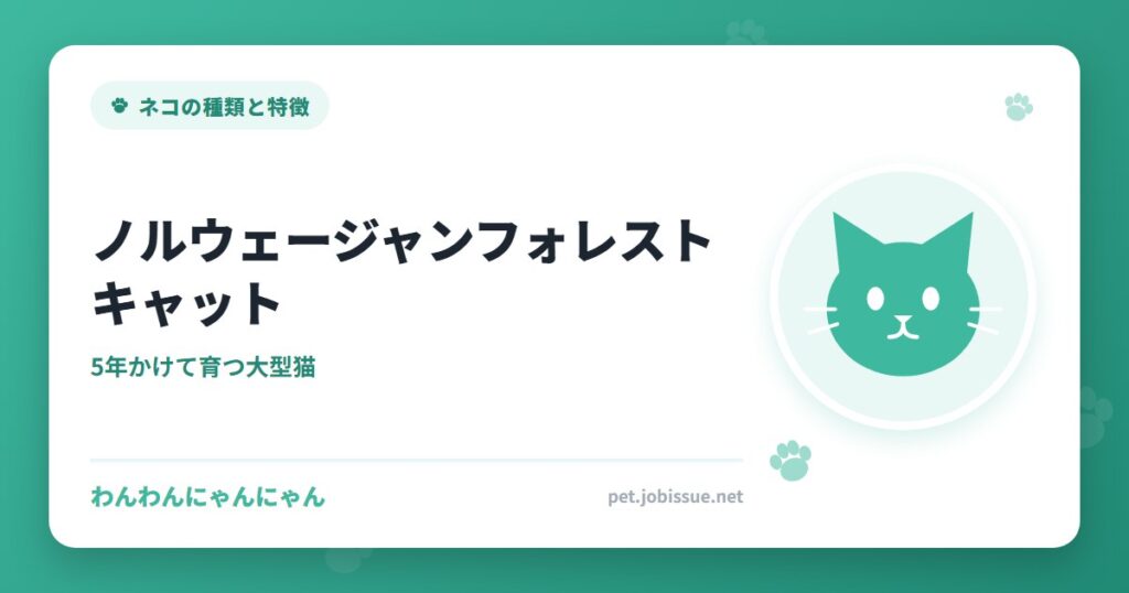 ノルウェージャンフォレストキャット