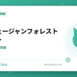 ノルウェージャンフォレストキャット