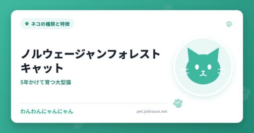 ノルウェージャンフォレストキャット