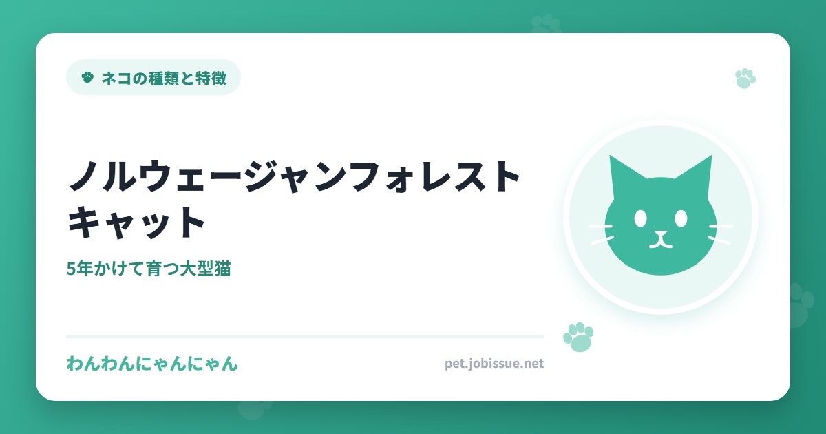 ノルウェージャンフォレストキャット