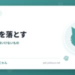 猫は物を落とす
