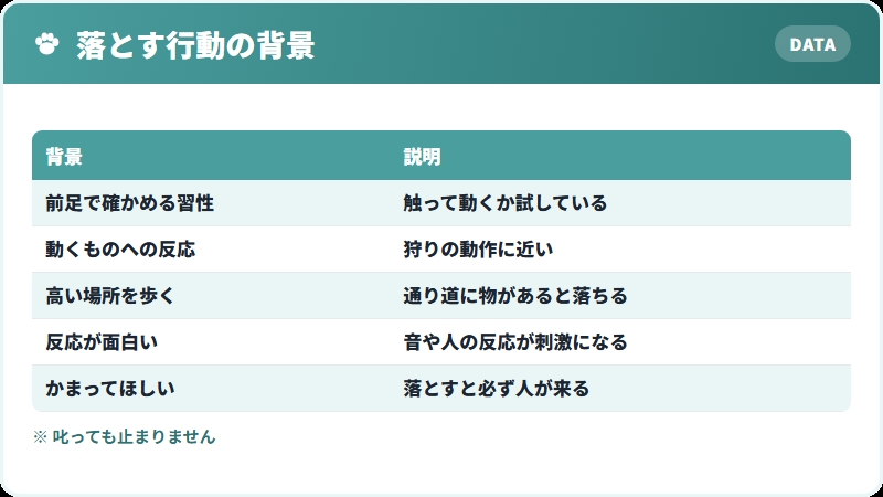 猫が物を落とす理由