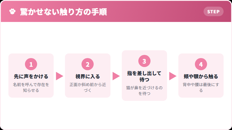 猫を驚かせずに触るための手順