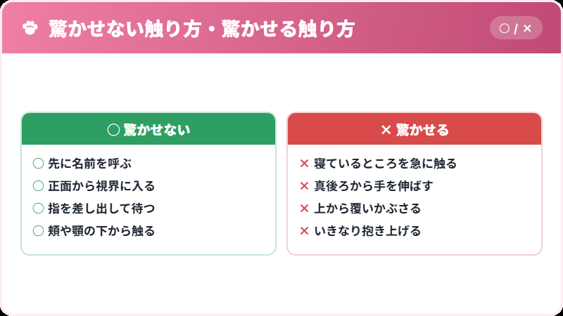 猫を驚かせる触り方と、驚かせない触り方の比較