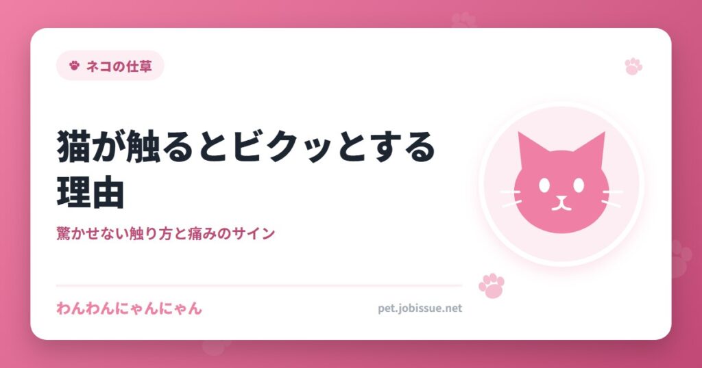 猫が触るとビクッとする理由