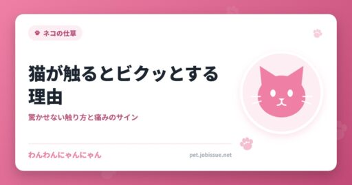 猫が触るとビクッとする理由