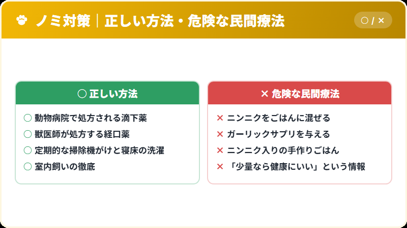 ニンニクによるノミ除け民間療法の誤りと正しい対策の比較