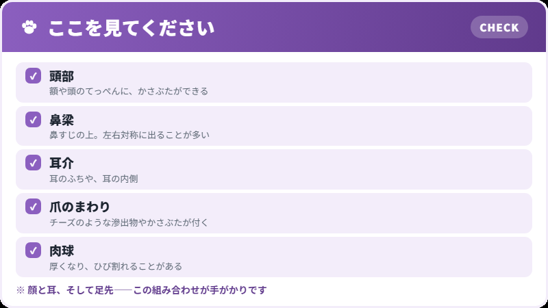 出やすい場所