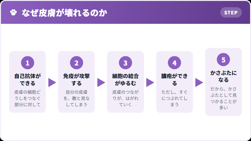 体の中で起きていること