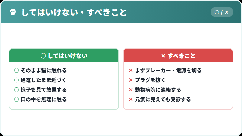 かじってしまったときの対応